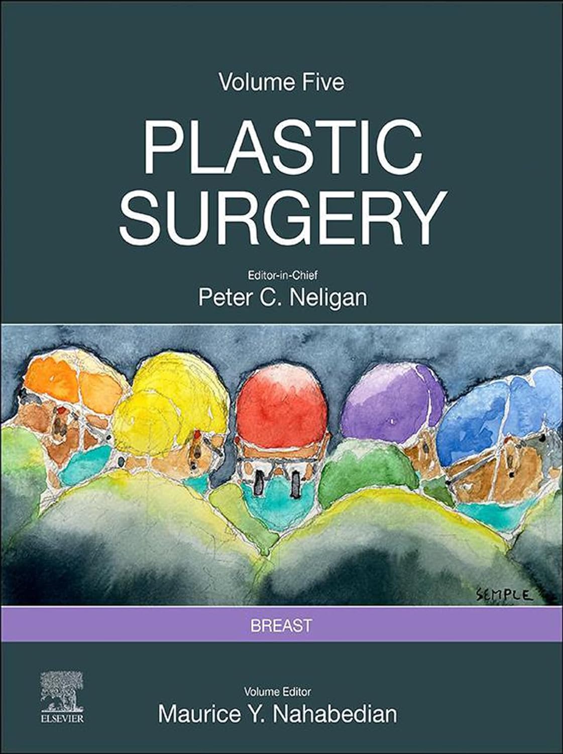 Plastic Surgery: 6-Volume Set 5th Edition - Image 3