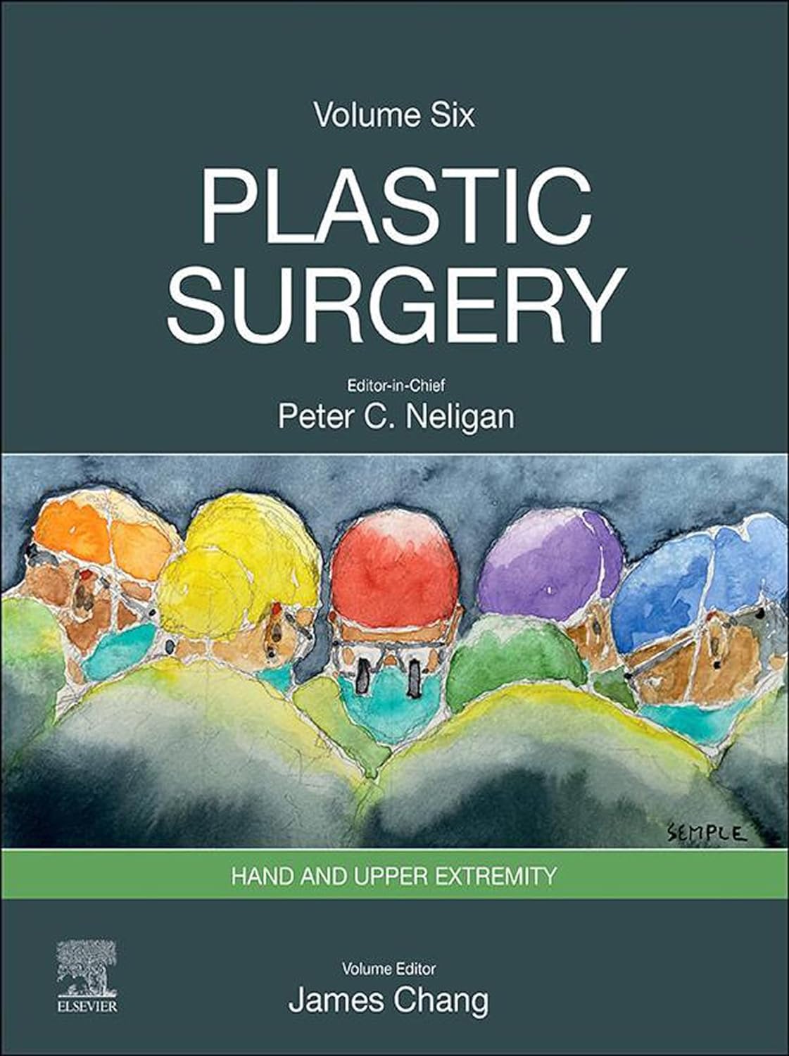 Plastic Surgery: 6-Volume Set 5th Edition - Image 2
