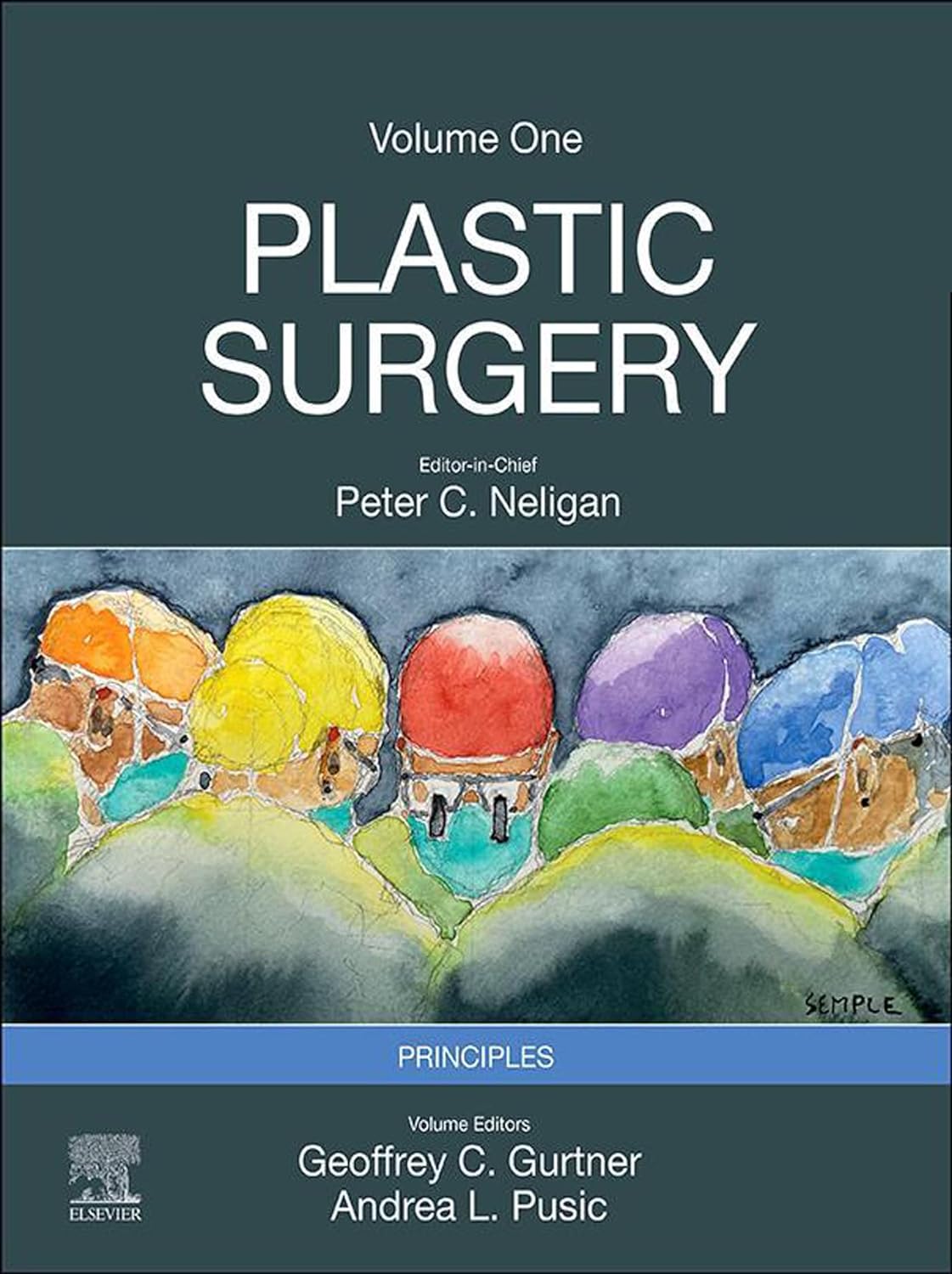 Plastic Surgery: 6-Volume Set 5th Edition - Image 7