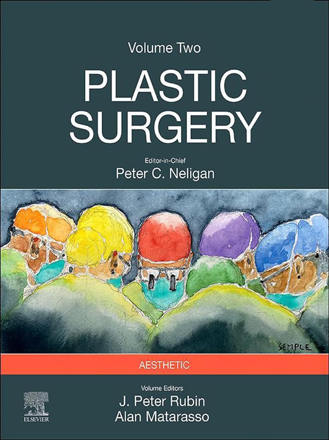 Plastic Surgery: 6-Volume Set 5th Edition - Image 6