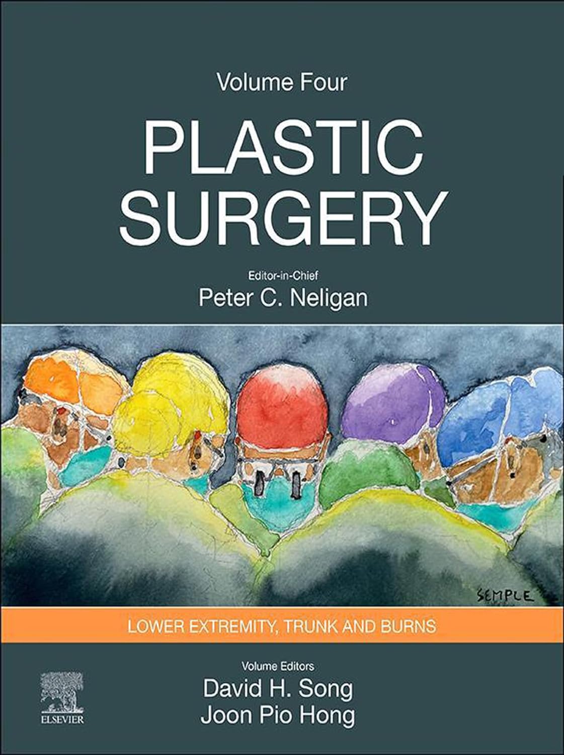 Plastic Surgery: 6-Volume Set 5th Edition - Image 4
