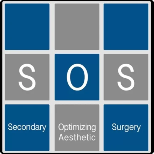 Secondary Optimizing Aesthetic Surgery Advances in Breast Surgery