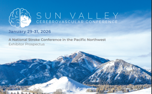 St Lukes Sun Valley Cerebrovascular Conference 2026