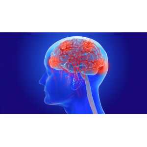 University of Miami Thinking Through Alzheimer's: Exploring Cognition, Psychopharmacology and Geriatric Psychiatry 2026